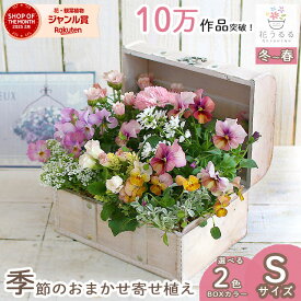 【送料無料】花うるる おまかせ 寄せ植え トレジャーBOX [Sサイズ](玄関 セット ギフト 花 フラワーギフト プレゼント 完成品 鉢植え 誕生日 女性 母 妻 義母 祖母 ギャザリング 新築祝い 記念日 アレンジメント おしゃれ 鉢 開店祝い