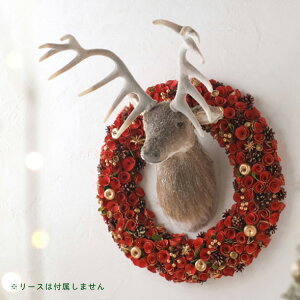 NX}X [rbO I[ig giJC](Mtg v[g fBXvC   G IuWF c[ k  H ~ p[eB[  hA   i CeA փhA