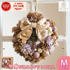 [X hCt[ [uAgS[hsN]MTCY a23cm(  Mtg v[g a fBXvC  ~ ʔN  hA O  i NX}X hC t[ C