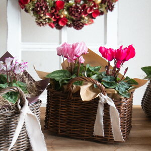 z _AւR^yK[fVN̊񂹂(p^)z(񂹔 񂹃JS NX}X Xmas ~Mtg  t[ Mtg v[g K[fjO Zbg Ε Ε 蕨 