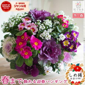  t{^̃nMOoXPbg񂹐A[g(ׂ]MTCYtO rI  ߓ ߏ ߓ O   m  n{^ ɐ [X _