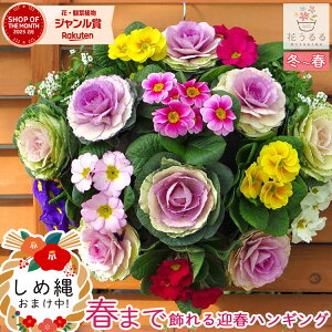  t{^̃nMOoXPbg񂹐A[VGt[] MTCYtO rI  ߓ ߏ ߓ O   m  n{^ ɐ  ~