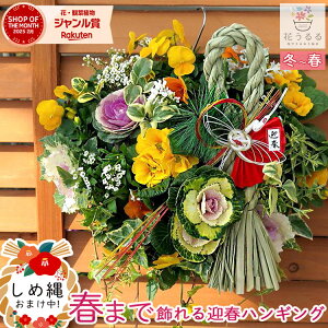  t{^̃nMOoXPbg񂹐A[-DX] MTCYtO rI  ߓ ߏ ߓ O   m  n{^ ɐ [X _ 