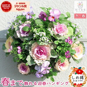  t{^̃nMOoXPbg񂹐A[] MTCYtO rI  ߓ ߏ ߓ O   m  n{^ ɐ [X _  