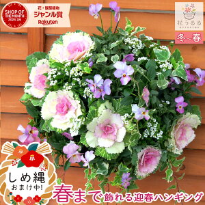  t{^̃nMOoXPbg񂹐A[-DX] MTCYtO rI  ߓ ߏ ߓ O   m  n{^ ɐ [X _ 