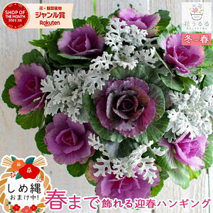  t{^̃nMOoXPbg񂹐A[TUNX]MTCYtO rI  ߓ ߏ ߓ O   m  n{^ ɐ  ~ o