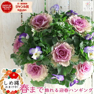  t{^̃nMOoXPbg񂹐A[(] MTCYtO rI  ߓ ߏ ߓ O   m  n{^ ɐ [X _