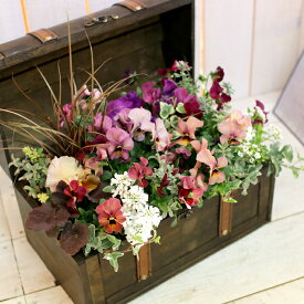 【送料無料】花うるる おまかせ 寄せ植え トレジャーBOX [Mサイズ](玄関先 セット ギフト 花 フラワーギフト プレゼント 完成品 鉢植え 誕生日 女性 母 妻 義母 祖母 引っ越し祝い 新築祝い 記念日 アレンジメント おしゃれ 鉢 開店祝い 冬 春 正月1月 2月