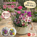 ＼ 母の日 花うるる ／ 【今だけクーポン最大400円引】 花うるる 寄せ植え【母の日アレンジ in コージーバスケット】完成品 玄関先 誕生日 春 夏 ギフト プレゼント 母 おしゃれ 珍しい 鉢植え ガーデニング フラワーギフト 屋外 生花 鉢 セット 苗 プランター 義母 妻 2026