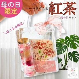 ＼母の日 花うるる／【ハーバリウムと紅茶】母 2026 カーネーション ギフト プレゼント 誕生日 女性 瓶 プリザーブドフラワー ティーバッグ かわいい おしゃれ プチギフト 発表会 枯れない花 バラ 紫陽花 アジサイ ラッピング ギフトバッグ お祝い 結婚祝い 入学 進級