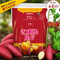【人気イモヅル おまけ付】さつまいもバッグ 15L(紅はるか 安納芋 紅きらら 蜜芋 紫芋 鳴門金時 家庭菜園…