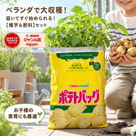 【種芋2つ+肥料のおまけ付】マツコの知らない世界で特集／カルビー ポテトバッグ 【のりしお】12L(春 じ…