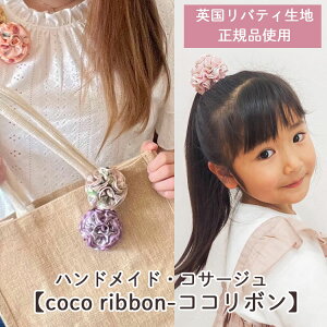 v[gyRR{z(Pi) 9FIׂEprJ[l[V^RT[W(Ԃ  t@bV ANZT[  蕨   t[Mtg a  oeB