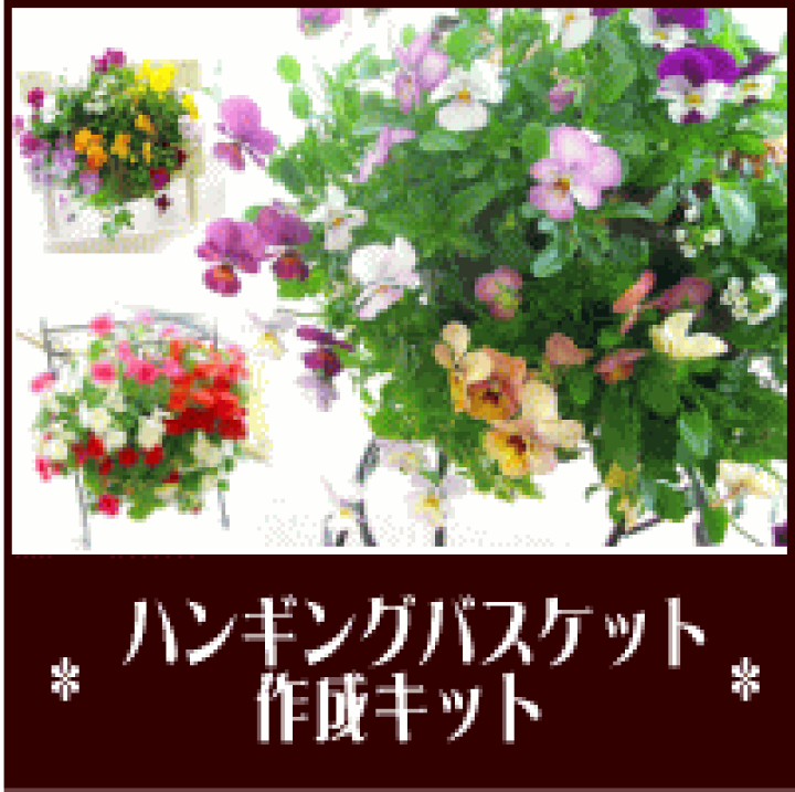 楽天市場 花うるるの ハンギングバスケット作成キット 基本編 店長秘伝の 作成のコツ もおつけしちゃいます 寄せ植え キット プランター 鉢 作成 花うるる 花でうるおう毎日