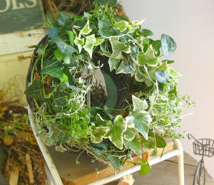 qifXŖ{iЉIuĂACr[̃i`*OvSTCYiEO`pEv[g([X WOCeA  wf c  c^ ϗt