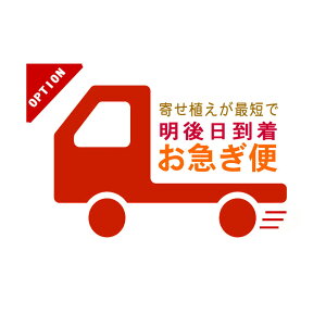 yIvVzw񂹐Â}ցxiŒZŖXoׂłIvVłB񂹐AƈꏏɔɓČςĂj