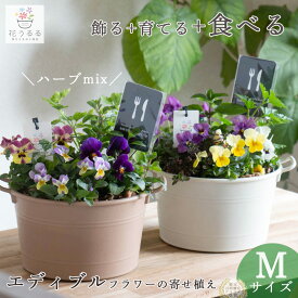 ＼食べれる寄せ植え／エディブルフラワー[ビオラとキッチンハーブうるる(コージーバスケットMサイズ)] 栽培 ハーブ 食用花 玄関先 フラワーギフト 家庭菜園 栽培キット 誕生日 プレゼント 花 鉢植え 業務用 苗 ガーデニング 屋外 ギフト 料理 食用 飾り 春 正月1月 2月