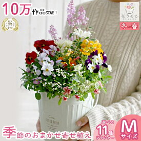 [ポット型寄せ植え]花うるるアレンジ| 玄関 フラワーギフト 誕生日 プレゼント 女性 母 花 7月 8月 9月 お中元 サマーギフト おしゃれ 新築祝い 鉢植え 鉢花 ガーデニング フラワー 屋外 ギフト 生花 鉢 贈り物 クリスマス お正月飾り 冬 秋 11月 12月