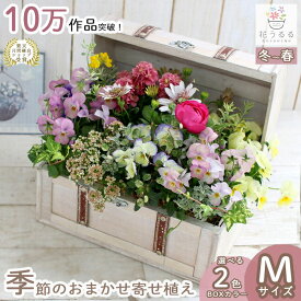 【送料無料】花うるる おまかせ 寄せ植え トレジャーBOX [Mサイズ](玄関 セット ギフト 花 フラワーギフト プレゼント 完成品 鉢植え 誕生日 女性 母 妻 義母 祖母 引っ越し祝い 新築祝い 記念日 アレンジメント おしゃれ 鉢 開店祝い クリスマス お正月飾り 冬 秋 11月 12月