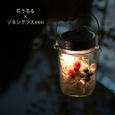 即日発送 ソネングラス×花うるる【カシスベリーmini】正規代理店(保証書付 250ml ランタン led ソーラー 充電式 防災 災害用 インテリア 新築祝い ライト おしゃれ 花 フラワーギフト 誕生日 女性 ドライフラワー 瓶