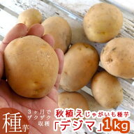 今期品薄＼マツコの知らない世界で特集／ じゃがいも 種イモ「デジマ 1kg」(長崎県産) [検査合格済] 種 …