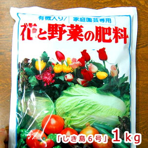 uؗL@tv̌Ō`^CvƂā؂̗L@엿y6 1kgziN:P:K=6-8-6j([֕s) 엿 L@엿 엿 ƒ؉   ͍ J _ JE イ