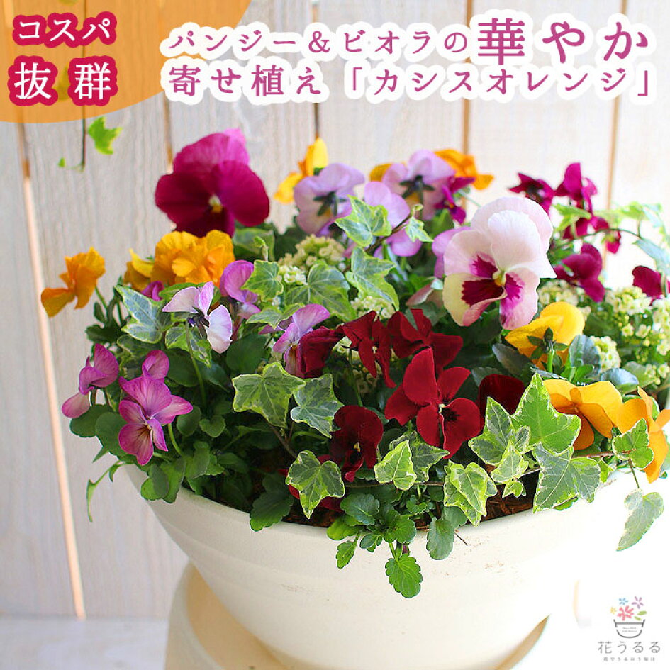 レンガ調タイル(パンジー)デコパージュ ビオラ 花柄 花 花柄雑貨 