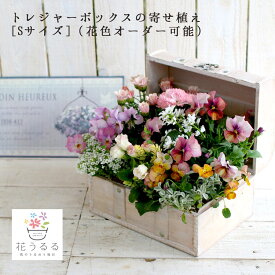 【送料無料】花うるる おまかせ 寄せ植え トレジャーBOX [Sサイズ](玄関 セット ギフト 花 フラワーギフト プレゼント 完成品 鉢植え お花 誕生日 女性 寄植え 母 妻 義母 祖母 引っ越し祝い 新築祝い 記念日 開店祝い アレンジメント おしゃれ 鉢