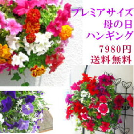 花の寄せ植え作品を始めハンギングバスケット ギャザリング ハーバリウム ギフトの店 花うるる 花でうるおう毎日