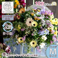 花うるるの新ハンギング寄せ植え定期便(頒布会)『アレンジ(シルバー)コース』【全6回】 (定期購入 春 夏 …