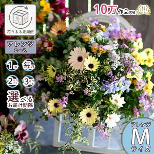 Ԃ̐V nMO 񂹐A ցwAWR[Xx (w t ̓ Zbg Mtg   A A Ǌ| nMOoXPbg ʔ v[g ԃMtg  