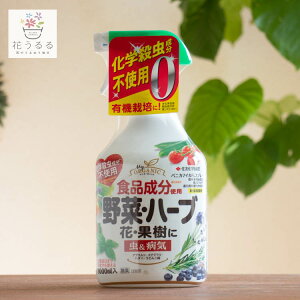 xjJ}ChXv[@1000ml (ZFw| Higp ؉EԁEn[uEʎ EEۍ