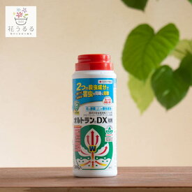 オルトランDX 粒剤 200g 害虫駆除 花 野菜 ガーデニング DIY