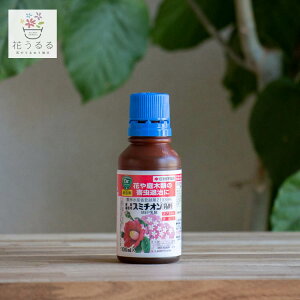 _o̐ƌpB^X~`I  100ml (ZFw|    ʎ |pE i  _ AuV PV o ΂ KN [Y ~jo o co  