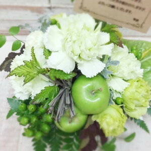 zByz t[AWg Mtg oYj X^CbV@̓@  Mtg a NX}X j   hV̓ 