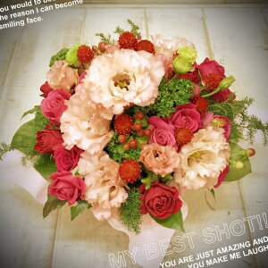 yz zB@o@t[AWg Mtg oYj X^CbV  Mtg a NX}X   hV̓ 