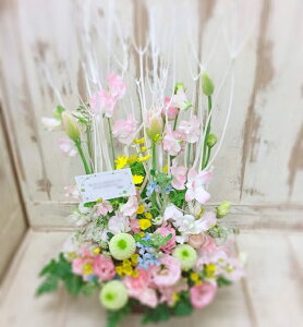 生花 花束 お見舞い 花の人気商品 通販 価格比較 価格 Com