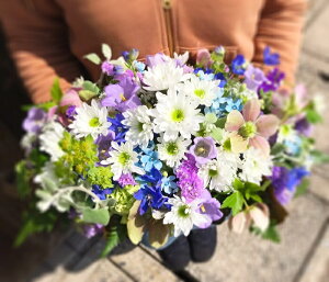 {[_  AWg   r yz {̂܂  @  V~ ~ ~ ybg  ԑ ފ    r 