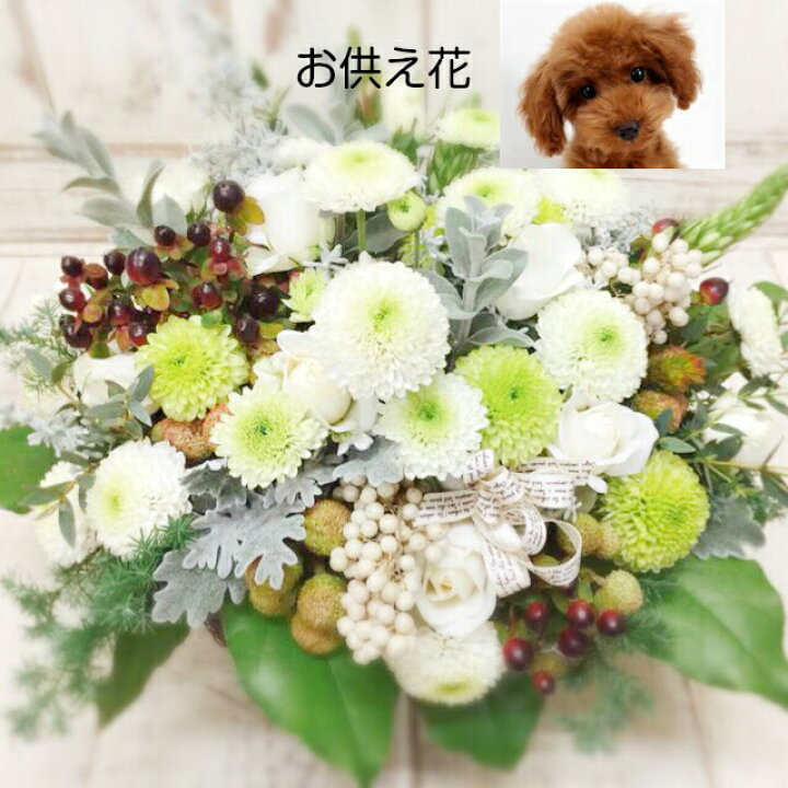 楽天市場 おしゃれ系お供えアレンジメント お供え 花 即日発送 喪中お見舞い 送料無料 花を使った旬のおまかせ供花 お悔やみ 法事 命日 新盆 初盆 お盆 ペット 花束 花 彼岸 枕花 仏事 弔事 喪中 お供え お盆のお花 生花 花童 楽天市場店