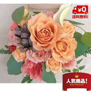 yz yō݁z t[AWg Mtg oYj X^CbV  Mtg a NX}X   ̓ hV̓ 