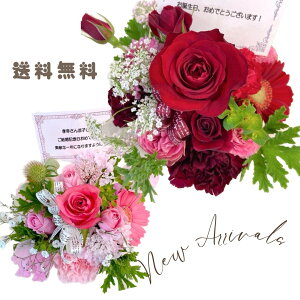 yz ō t[AWg Mtg oYj X^CbV  Mtg a NX}X   ̓ hV̓ ԁ@o@̓