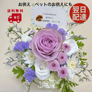   @zB@ 荠îAWg    r yz  @  V~ ~ ~ ybĝ  ԑ ފ  