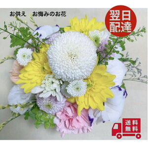 荠îAWg  ybg    r yz  @  V~ ~ ~ ybg ԑ ފ    r  E