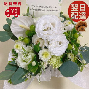 荠îAWg  ybg    rzB yz  @  V~ ~ ~ ybg ԑ ފ    r 