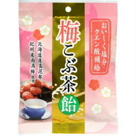 【4個セット】うすき製薬 梅こぶ茶飴 72g (4987023930353-4)【メール便発送】