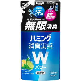 花王 ハミング消臭実感Wパワー クリアシトラスの香り つめかえ用 380ml(4901301430892)【メール便発送】