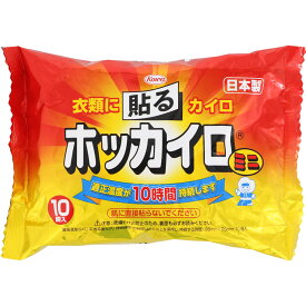 興和 ホッカイロ 貼るミニ 10枚入り(4987067827404)【定形外郵便発送】