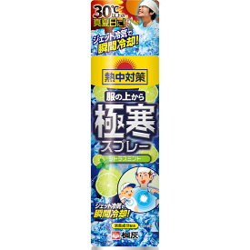 【2個セット】熱中対策 服の上から極寒スプレー シトラスミント 330mL(4901548603066-2)