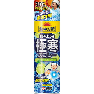 y4ZbgzM΍ ̏ォɊXv[ VgX~g 330mL(4901548603066-4)