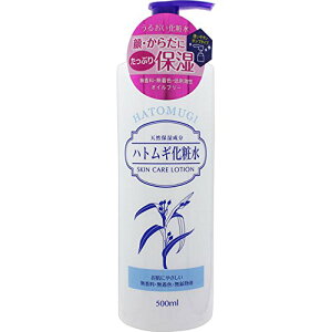 F ngMϐ 500ml(4513574027268)